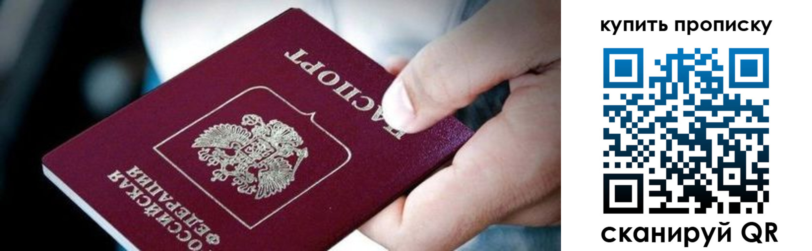 прописка поиск в Балтийске